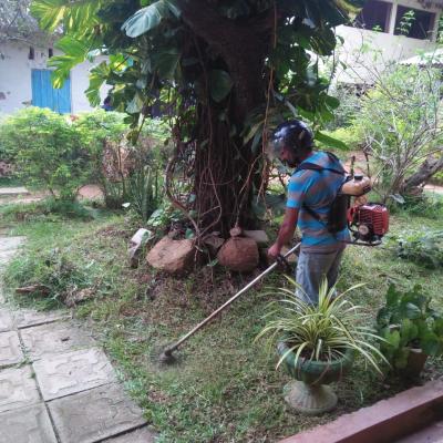 ශ්‍රමදාන